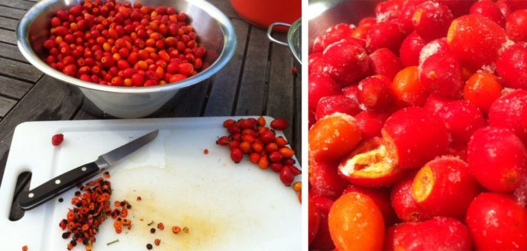 Hagebutten Marmelade Hagebutten Marmelade