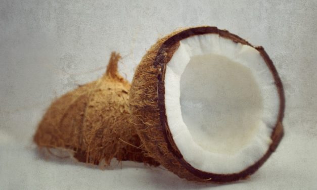 Schoko-Kokos-Schnitten