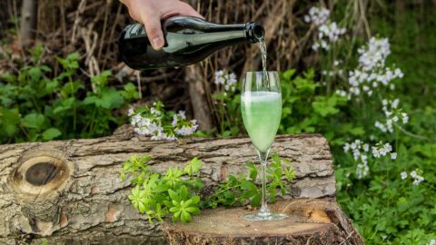 Gin Cocktail mit Waldmeister