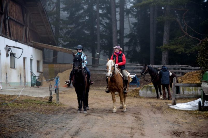 Reiten auf dem Salten